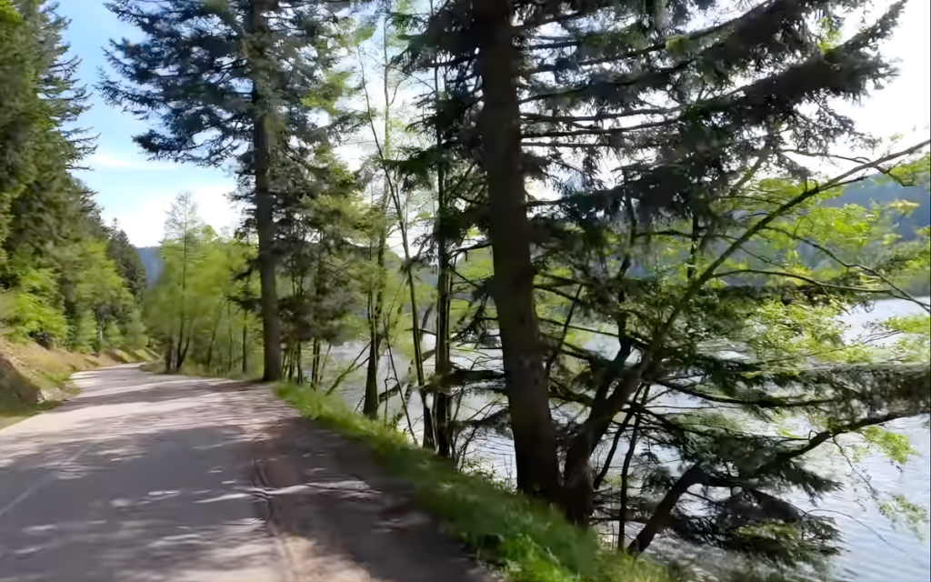 Die Grüne Strasse: vom Elsass in den Schwarzwald