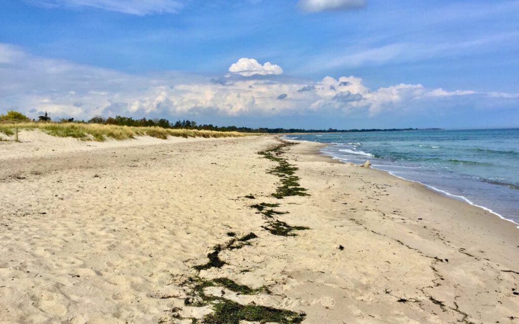 Der Sandstrand direkt am Østersøparken Camping auf Falster – Campingurlaub in Dänemark am Meer.