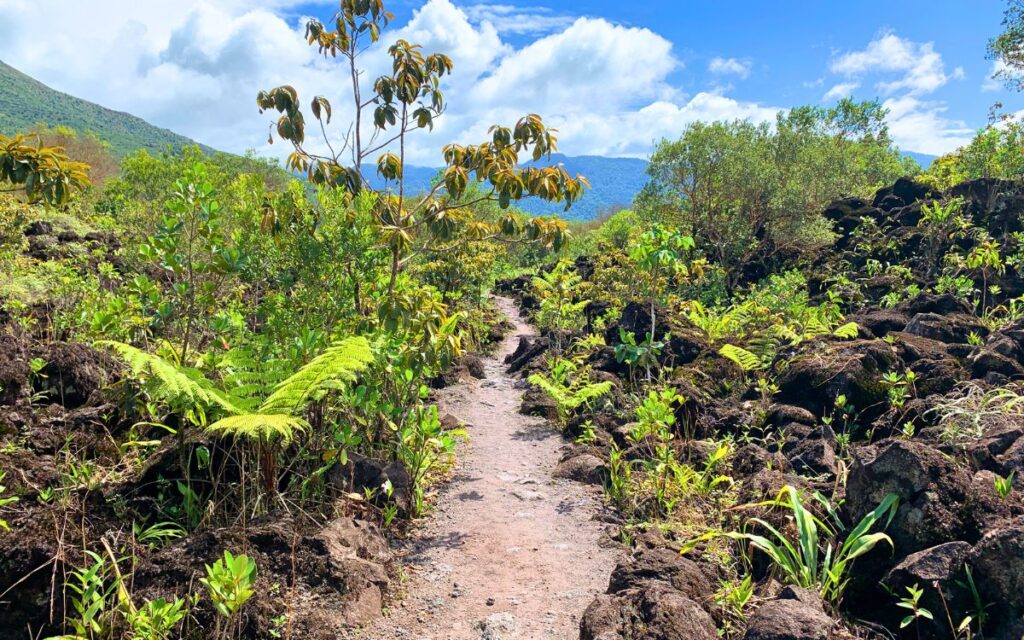 Costa Rica Route: Wandern um den Vulkan.