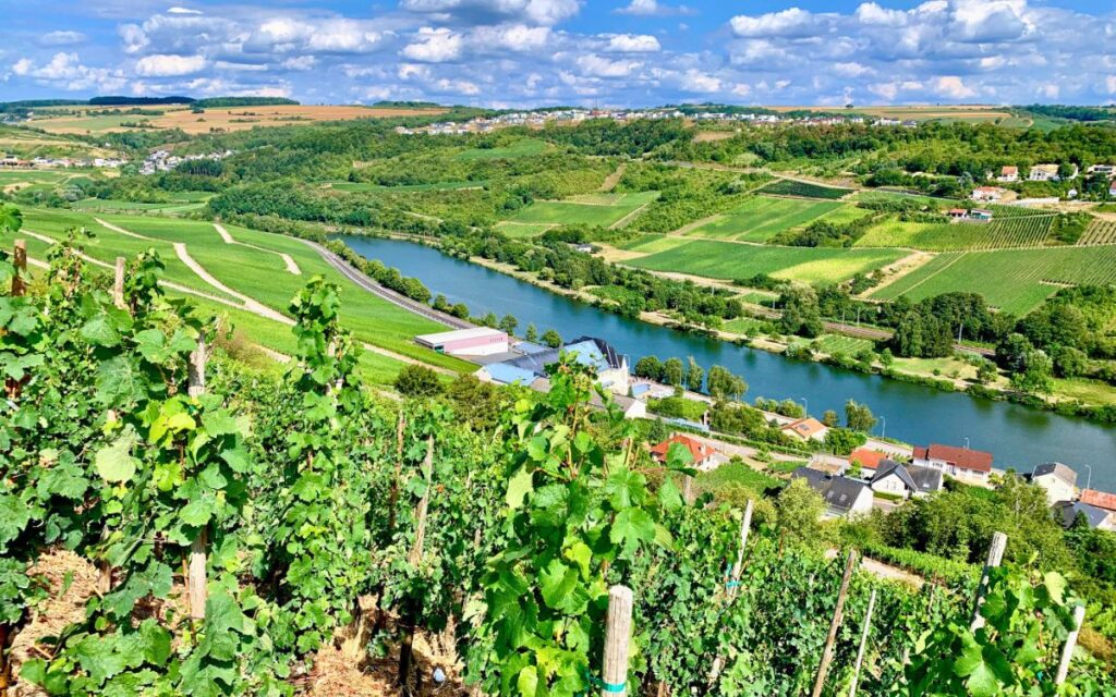 Mosel Region Luxemburg Roadtrip Aussicht Weinberge Dreiländereck