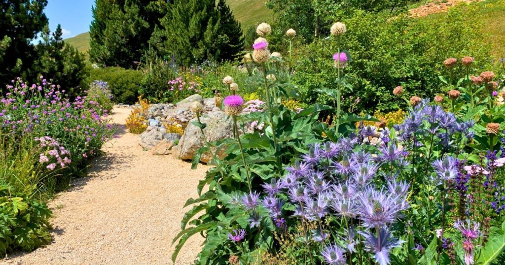 Einer der höchstgelegenen und schönsten botanischen Gärten Europas